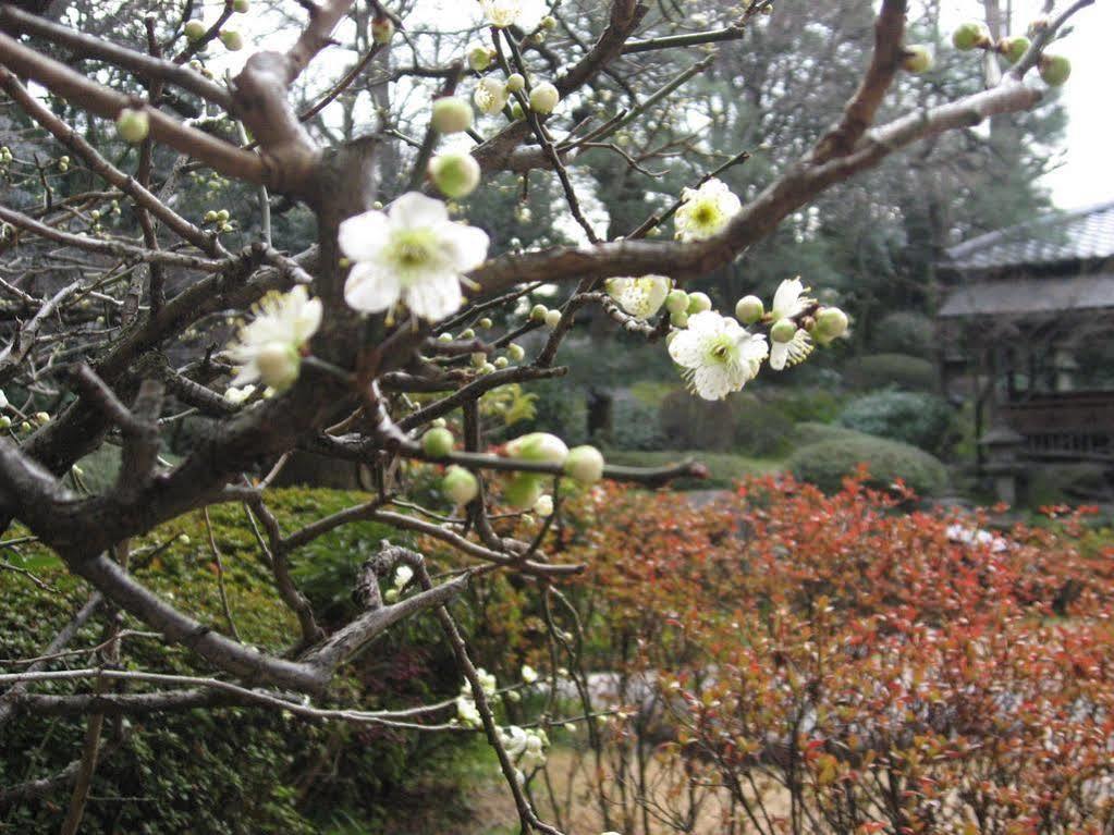 Gosho Nishi Kyoto Heian Hotel Exterior photo
